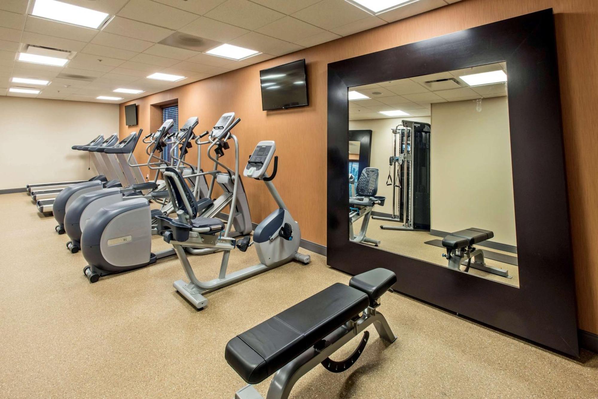 בלומינגטון Hilton Garden Inn Minneapolis Airport Mall Of America מראה חיצוני תמונה